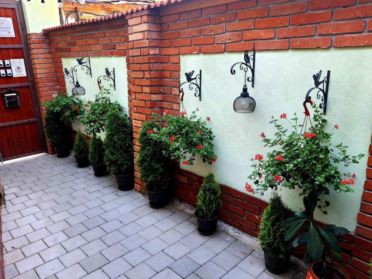 Brother'S House Sibiu Exteriér fotografie